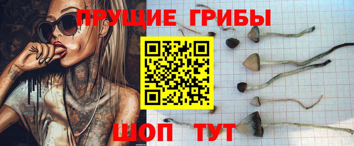 Псилоцибиновые грибы мухоморы  Вход с VPN  Тулун 